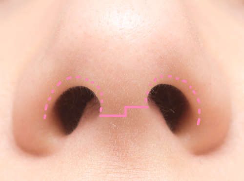 close up shot of nose