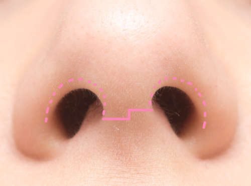 human nose close up shot of nose
